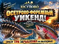 Запуски форели и осетра на выходных! Запуски форели и осетра на выходных!